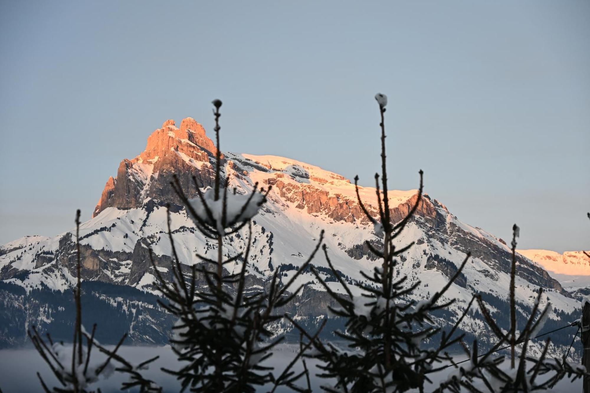 Chalet Montana Combloux Luaran gambar